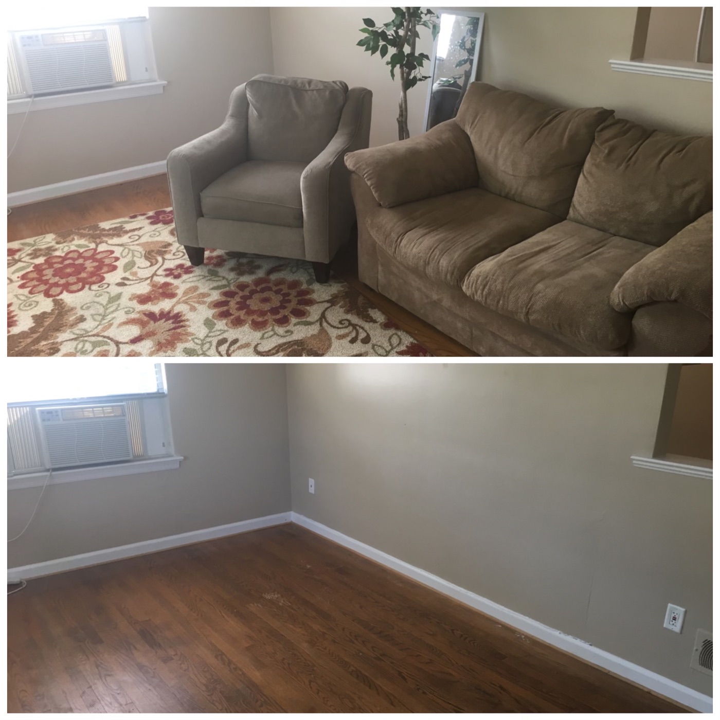 Living room cleanout before and after junk removal
